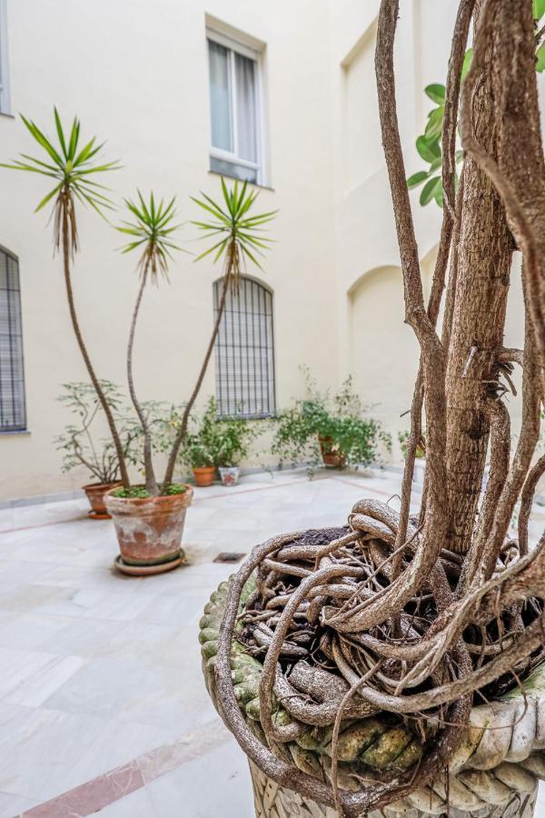 Chic&luminoso-WifiAC/Elegant apt in Salvador 2 BR Sevilla Exterior foto
